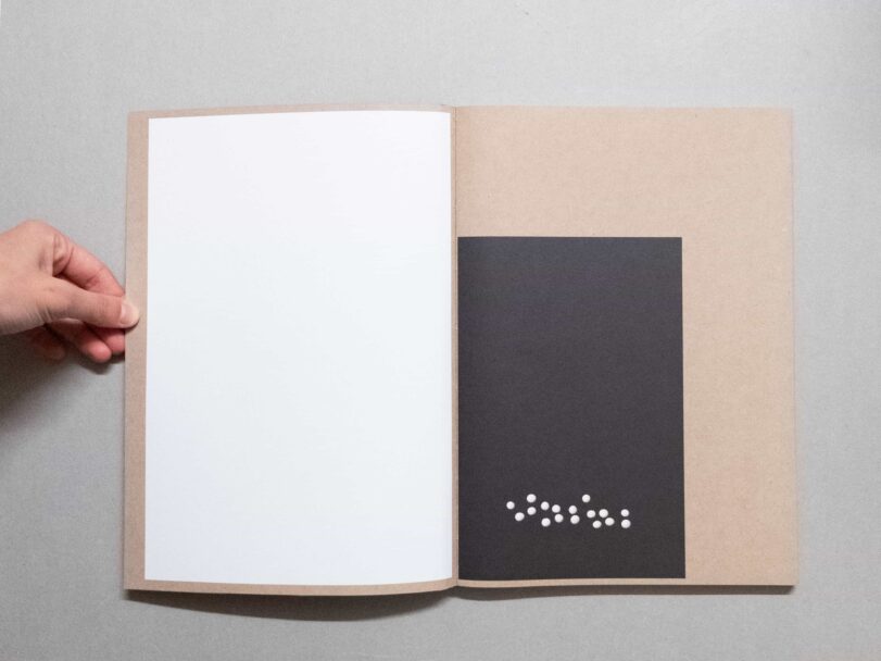 Vital Mud - Sofia7533