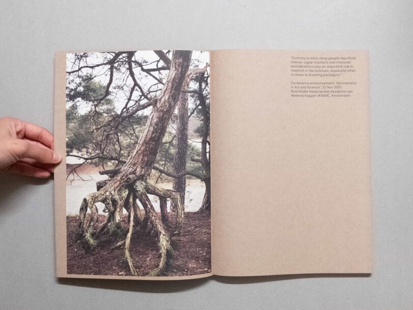 Vital Mud - Sofia7539