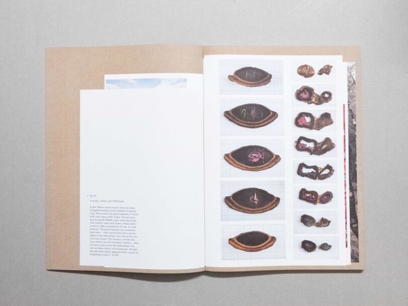 Vital Mud - Sofia7548