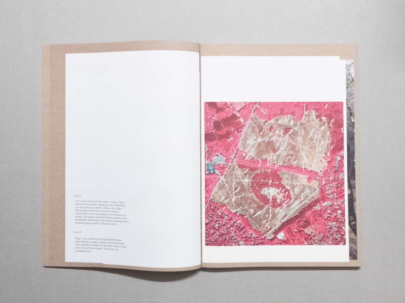 Vital Mud - Sofia7551