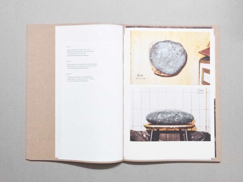 Vital Mud - Sofia7560