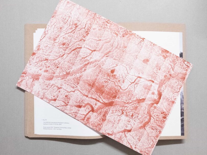 Vital Mud - Sofia7578