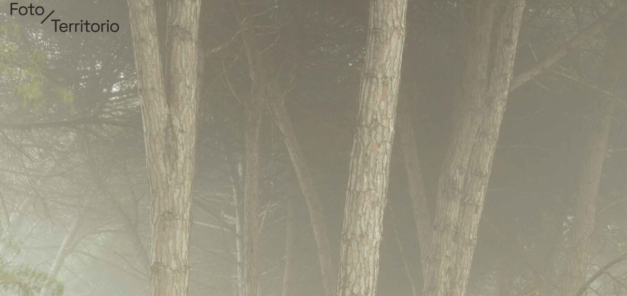 foto territorio