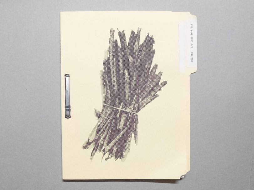 A faggot is a unit - Sofia7894