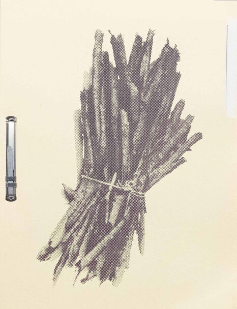 A faggot is a unit - Sofia7894_1