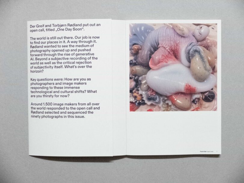 Der Greif - Sofia191