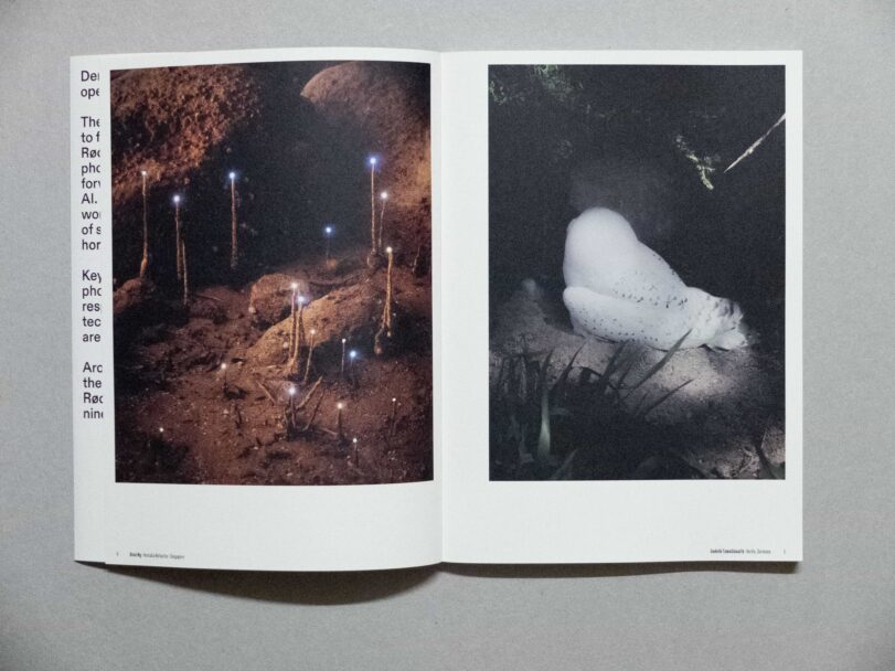 Der Greif - Sofia194