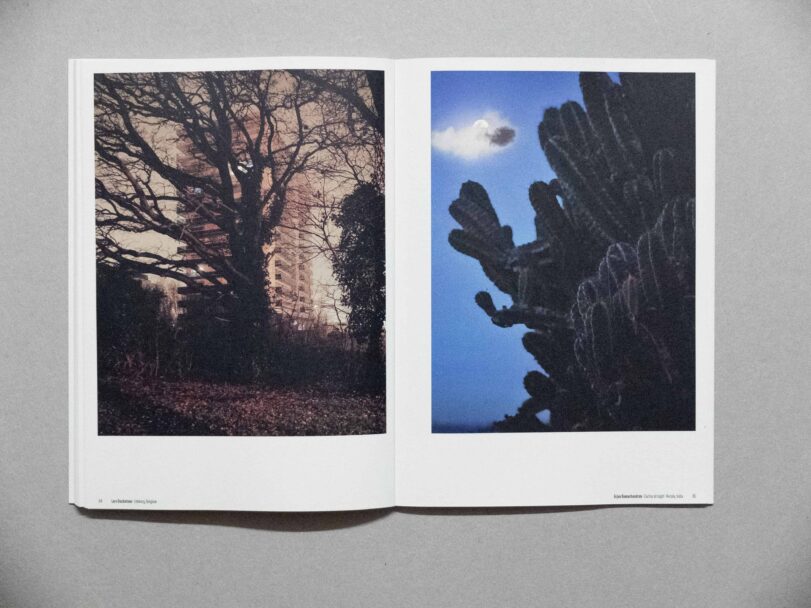 Der Greif - Sofia227