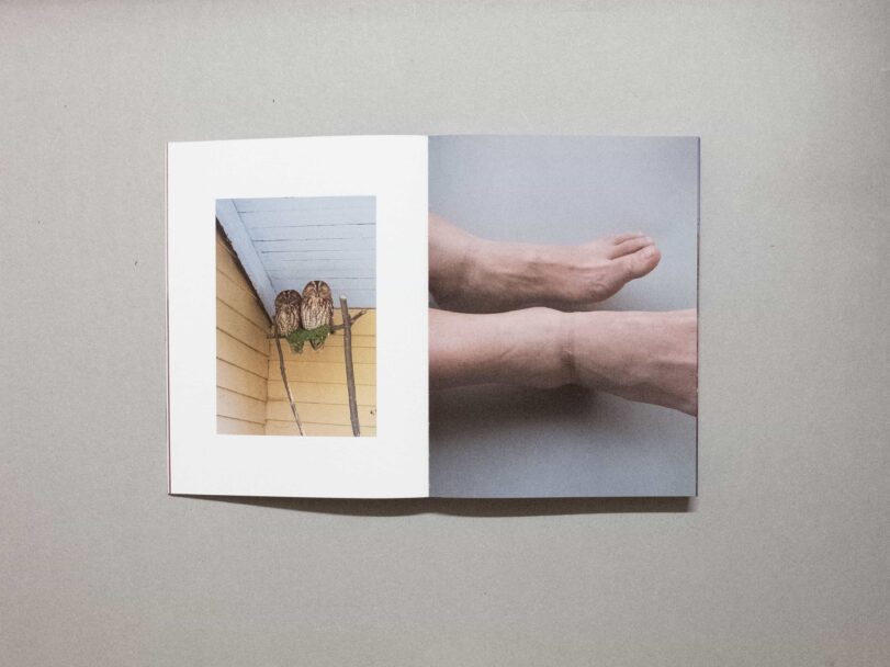 Sorry i gave a birth65