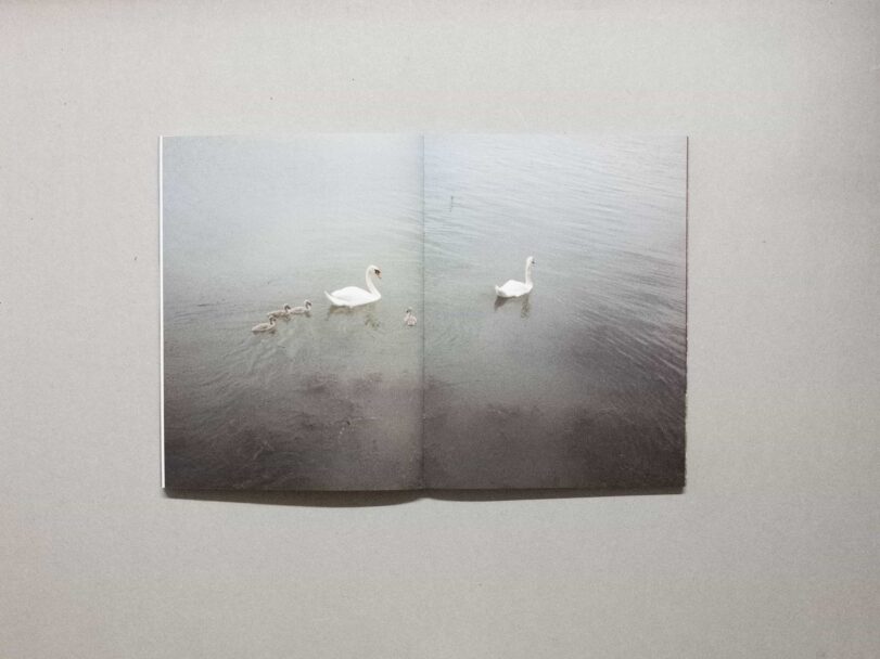 Sorry i gave a birth92