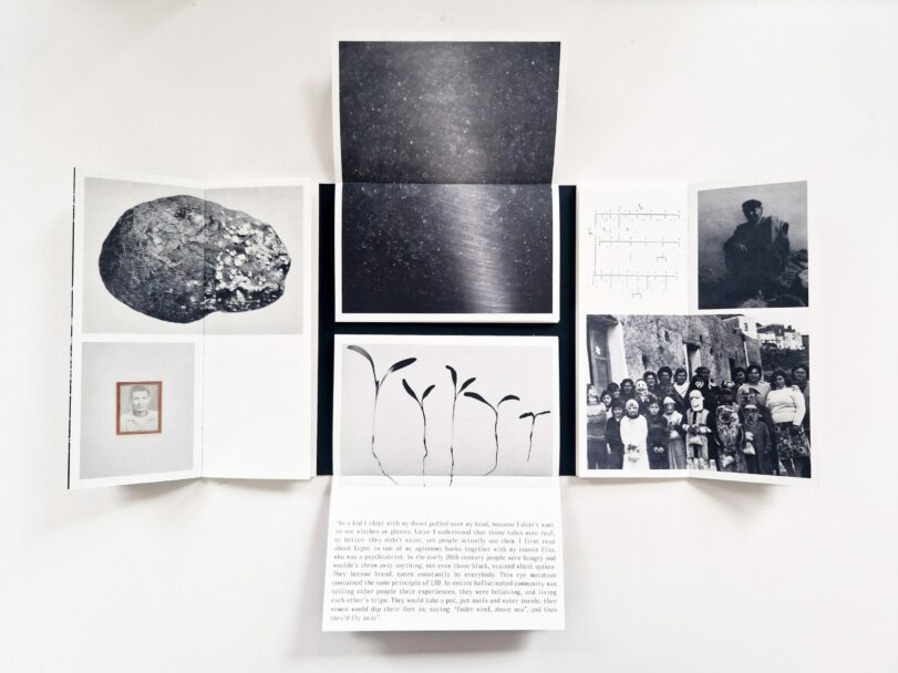 Thinking-like-an-Island-Chiapparini-Marrese-Overlapse-10-scaled