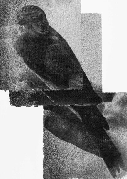 Molka 10,3x 14,5_fronte copia