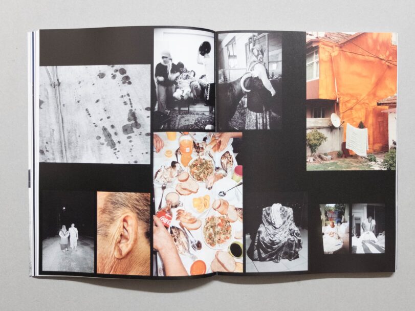 Rotting - Sofia (11)