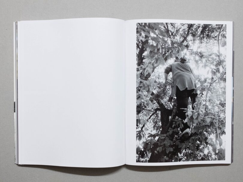 Rotting - Sofia (12)