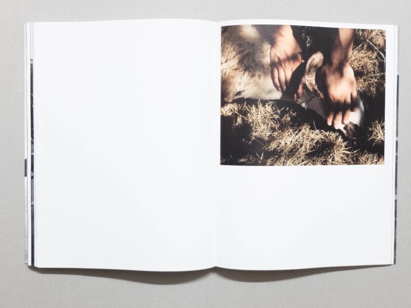 Rotting - Sofia (13)