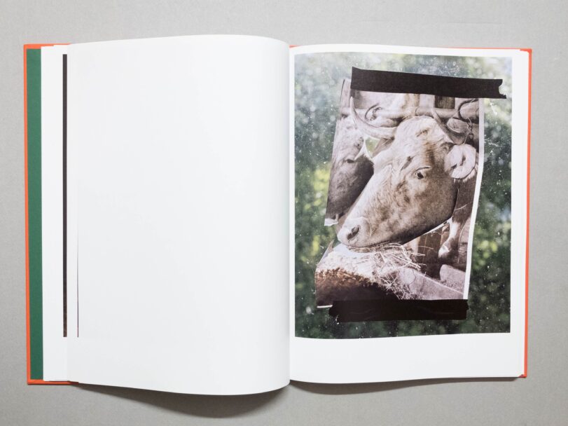 Rousset - Sofia (10)