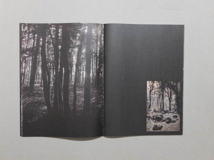 Sacro Silenzio - Sofia (10)