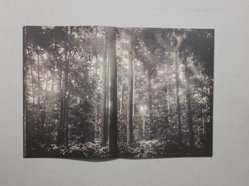 Sacro Silenzio - Sofia (11)