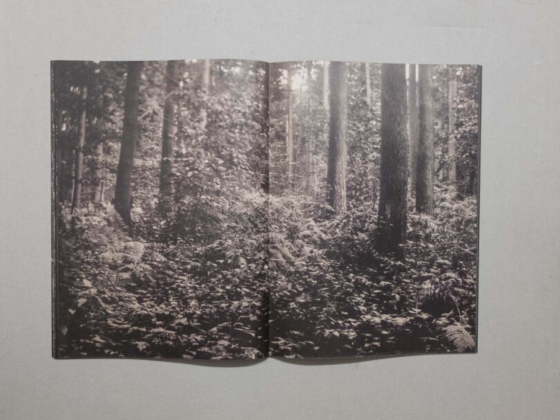 Sacro Silenzio - Sofia (14)