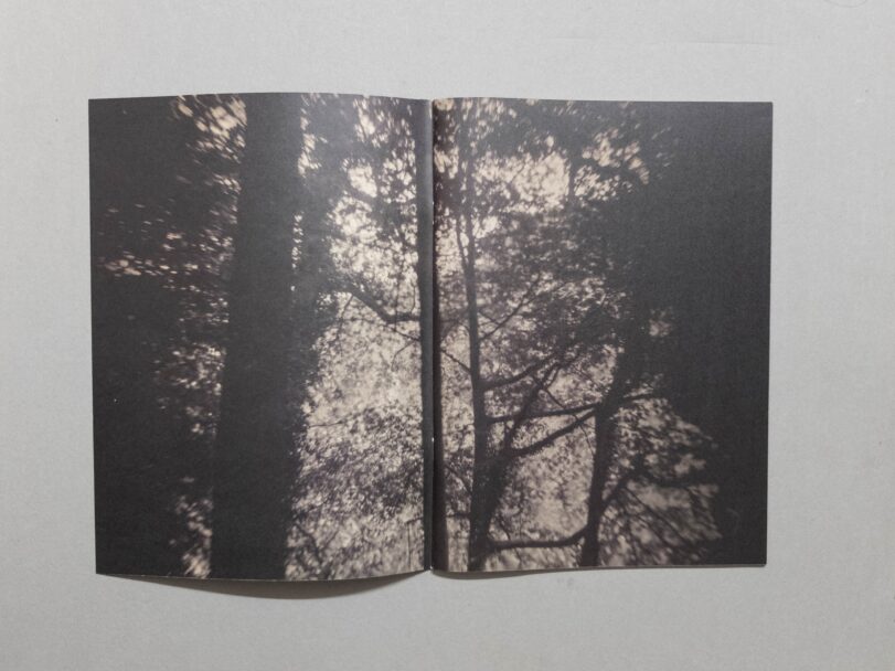 Sacro Silenzio - Sofia (3)