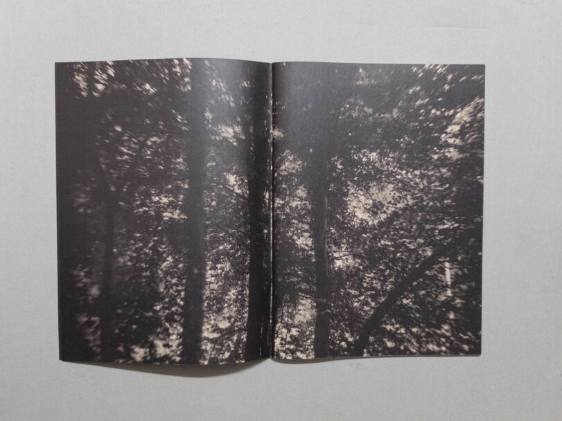 Sacro Silenzio - Sofia (4)