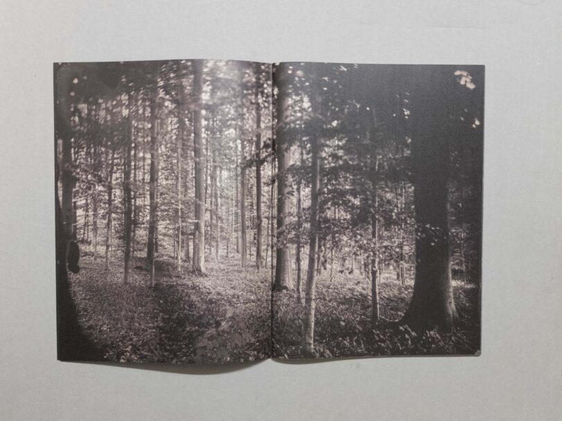 Sacro Silenzio - Sofia (5)