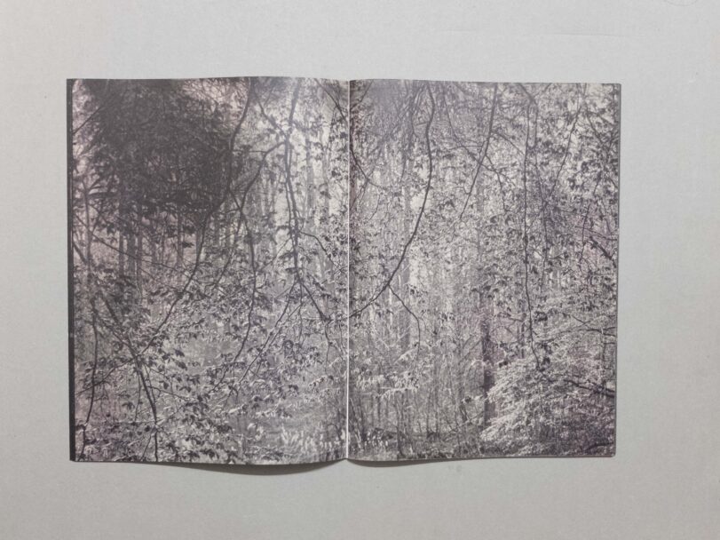 Sacro Silenzio - Sofia (8)