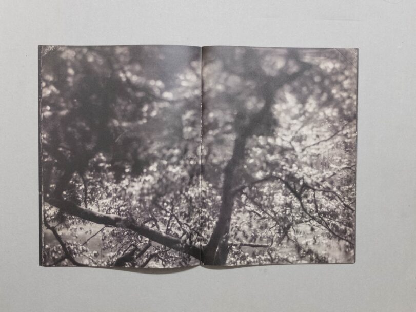 Sacro Silenzio - Sofia (9)