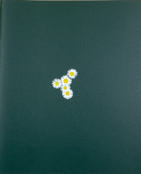 Schermata 2024-12-12 alle 17.44.05