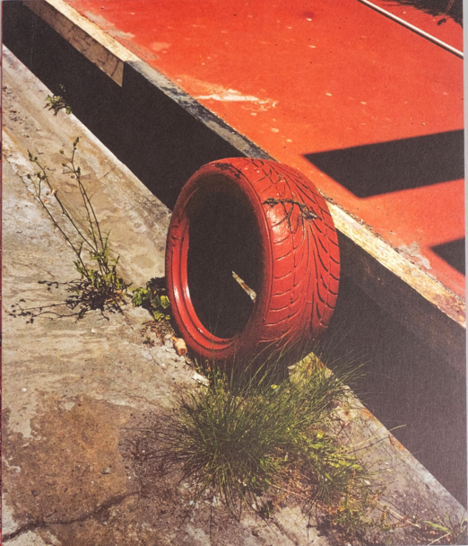 Schermata 2024-12-12 alle 17.50.03