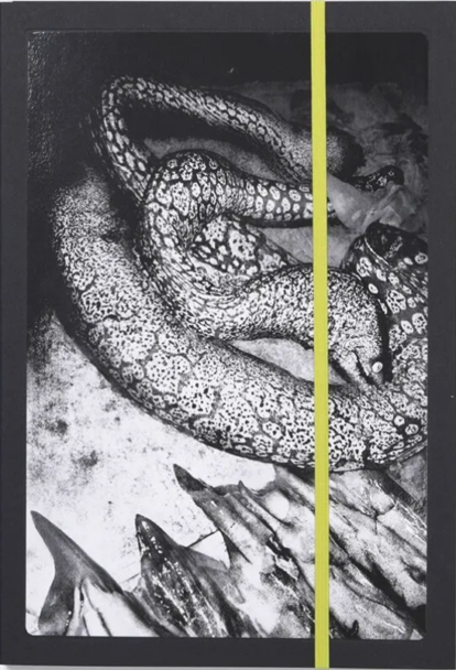 Schermata 2024-12-13 alle 19.34.55