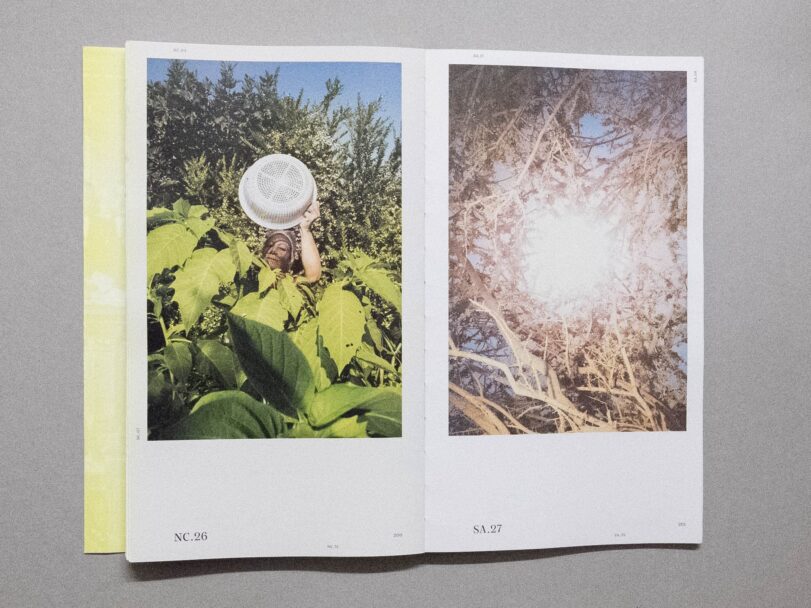 The Lines We Draw - Sofia (3)