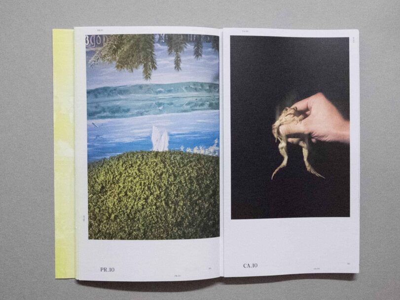 The Lines We Draw - Sofia (5)