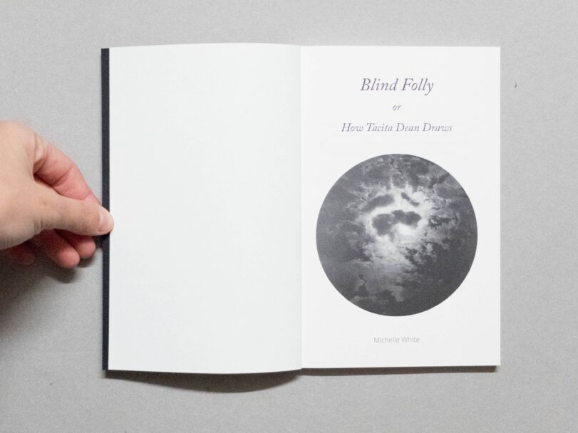 blind folly - sofia (3)