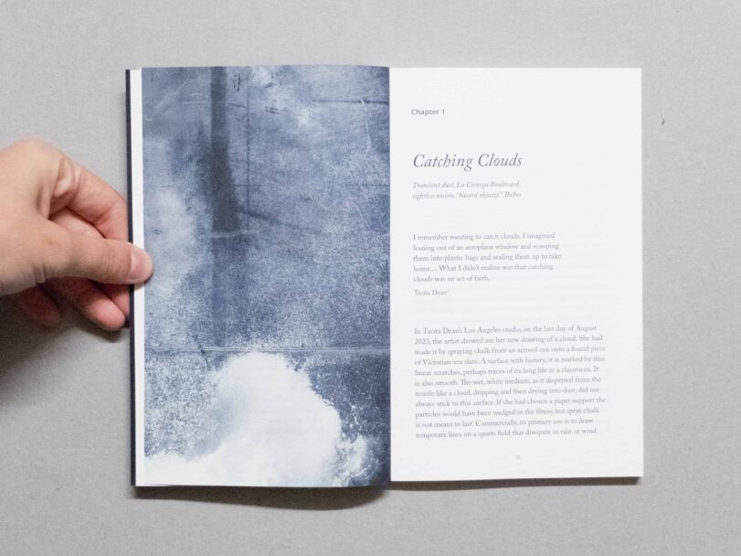 blind folly - sofia (4)