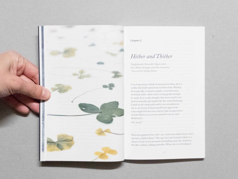 blind folly - sofia (6)