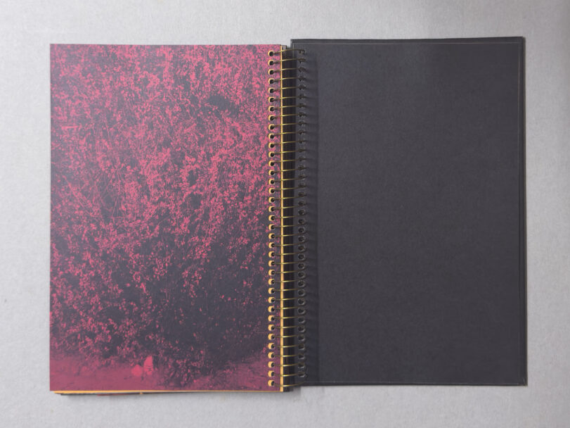 CircularRuins_Misia_19