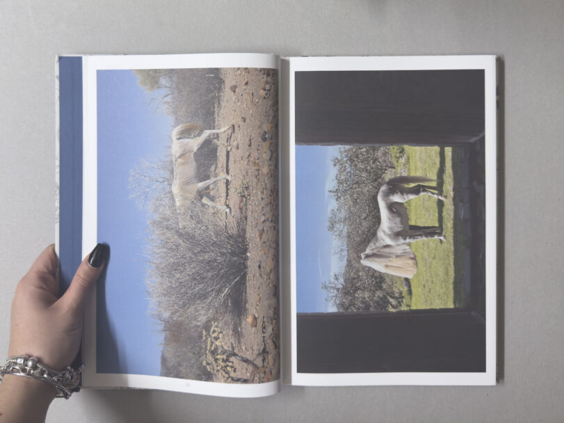 JourneyToTheCenter_MisiaBottaro_3