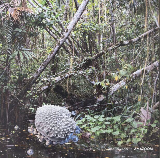 MisiaBottaro_AMAZOOM