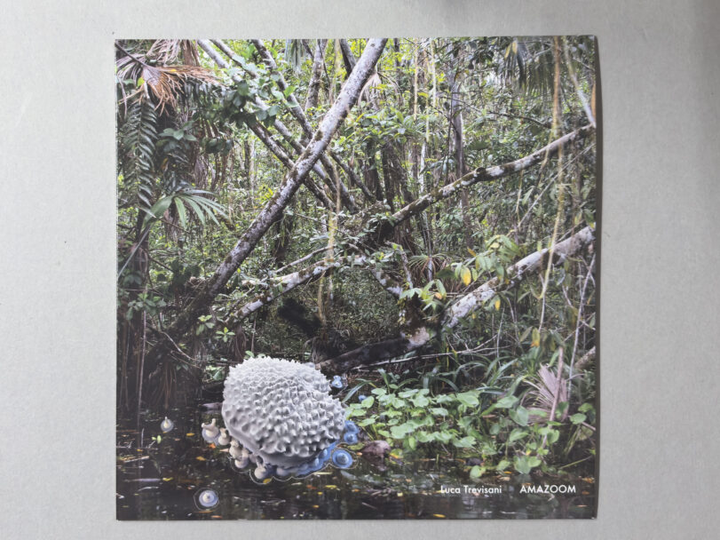 MisiaBottaro_AMAZOOM