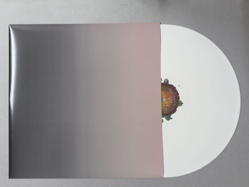 MisiaBottaro_AMAZOOM_3