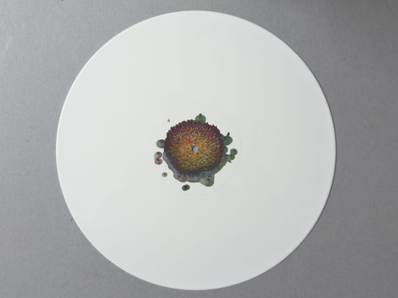 MisiaBottaro_AMAZOOM_4