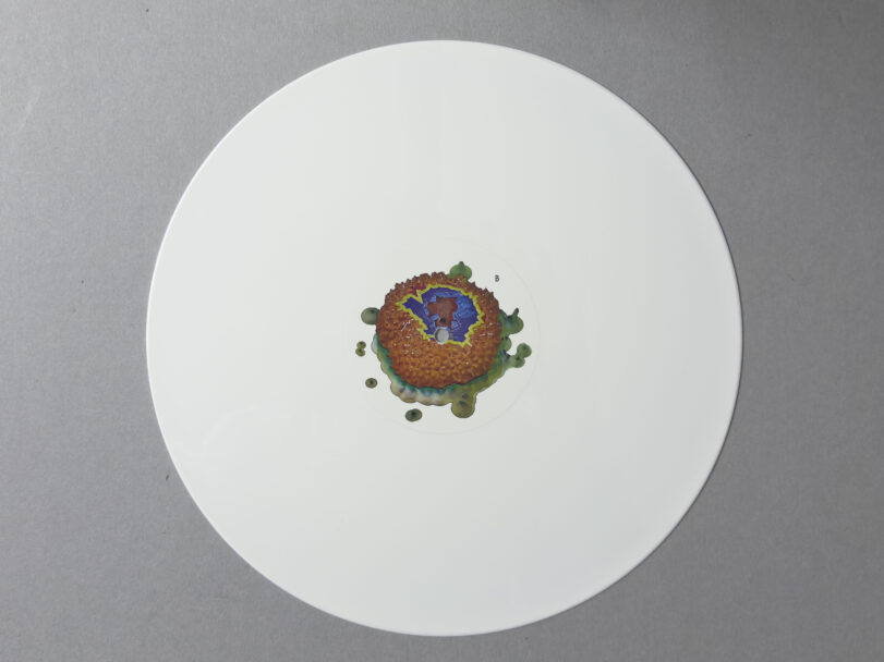 MisiaBottaro_AMAZOOM_5