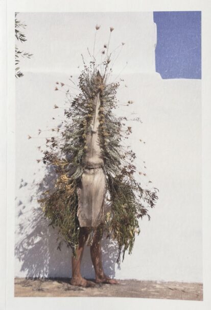 MisiaBottaro_Dalgiardino