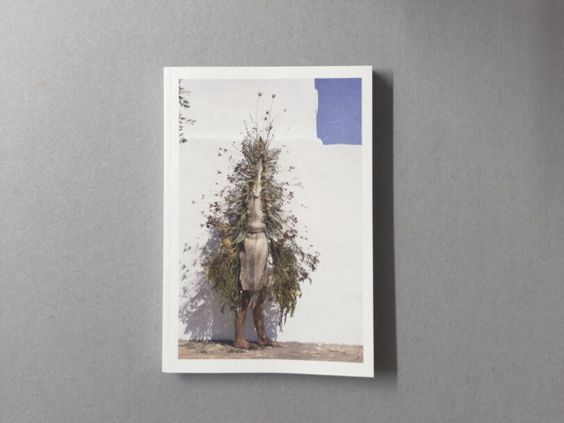 MisiaBottaro_Dalgiardino