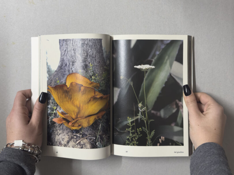 MisiaBottaro_Dalgiardino_3