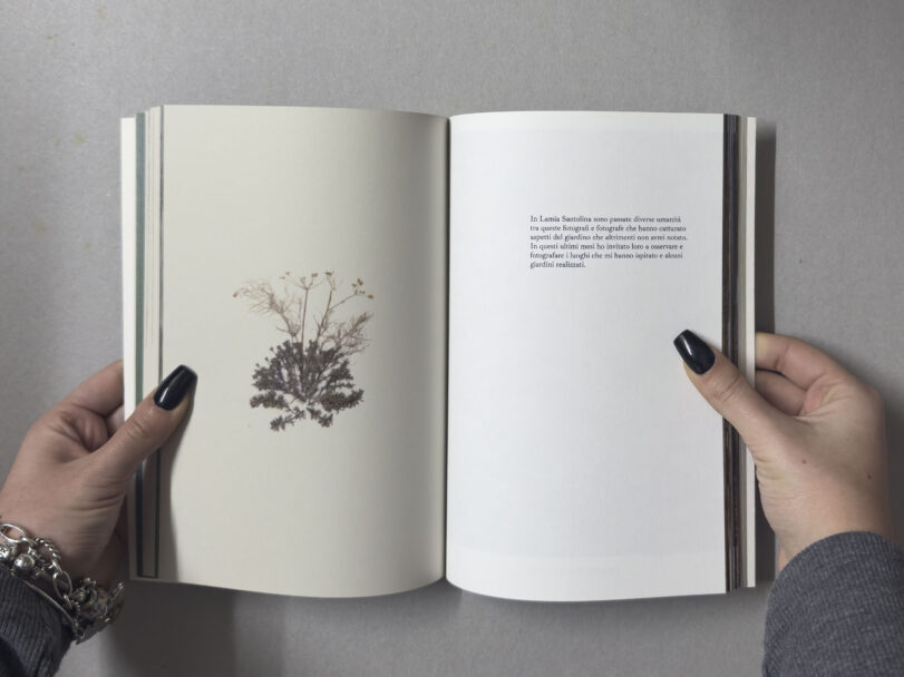 MisiaBottaro_Dalgiardino_5