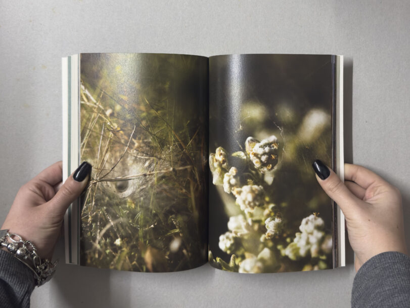 MisiaBottaro_Dalgiardino_6