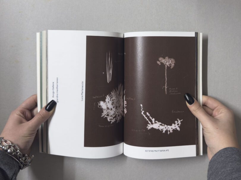 MisiaBottaro_Dalgiardino_7