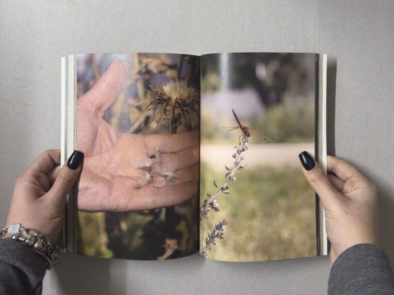 MisiaBottaro_Dalgiardino_8